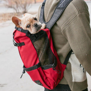 Small dog riding in red adventure pet backpack – side street view